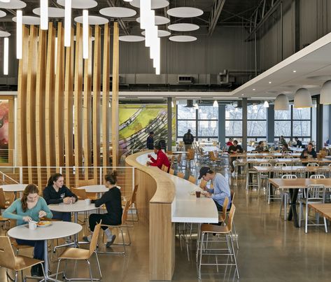 The overall space features a variety of student seating areas. College Dining Hall, University Cafeteria, Canteen Design, Cafeteria Design, School Cafe, Architecture Restaurant, University Architecture, School Interior, School Cafeteria