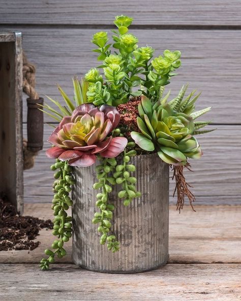 Tall Succulents, Artificial Succulent Arrangements, Succulent Landscape Design, Succulent Garden Indoor, نباتات منزلية, Succulent Garden Design, Succulent Landscaping, Succulent Centerpieces, Succulent Garden Diy