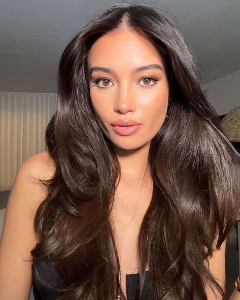 Aesthetic Vision Board Pictures, Brown Hair Inspiration, Warm Brown Hair, Rambut Brunette, Kelsey Merritt, Pink Hair Dye, Brown Hair Inspo, Beauty Hair Makeup, Hair Inspo Color