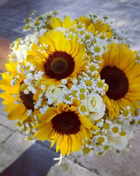 Daisy Bouquets, Rose And Sunflower Bouquet, Chamomile Bouquet, Daisy Wedding Dress, Sunflower And Daisy Bouquet, Daisys And Sunflowers, Sunflower Daisy Bouquet, Sunflower And Daisy Centerpieces, Sunflowers And Daisy Bouquet