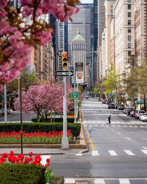 Park Avenue, Love Letter, York City, New York City, Street View, New York, Building, On Instagram, Instagram