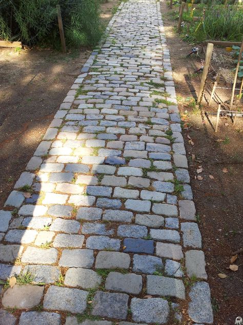 145 / 366 - Camino de piedra Cobble Stone, Pathway Landscaping, Outdoor Walkway, Front Garden Landscape, Brick Garden, Driveway Landscaping, Garden Floor, Front Yard Garden Design, Garden Stepping Stones