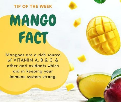 Did You Know? Mangoes are a rich source of Vitamin A, Vitamin B, Vitamin C, and other antioxidants, which aid in keeping your immune system strong. The king of fruits is also the king of your health. So, enjoy the season’s favorite fruit without any guilt. #Mangoes #FoodFacts #Foodie #HealthyFood #Nutrition #Food #CleanEating #HealthyEating #NutritionFacts #daulatsteel #daulatindustries #HealthyLifestyle #Snacks #Healthy #Calories #EatClean #FreshFood #Fitness #EatSmart #summerishere Mango Nutrition Facts, Mango Vitamins, Mango Nutrition, Mango Images, Mango Benefits, Healthy Calories, Wellness Ideas, Food Health Benefits, Sources Of Vitamin A