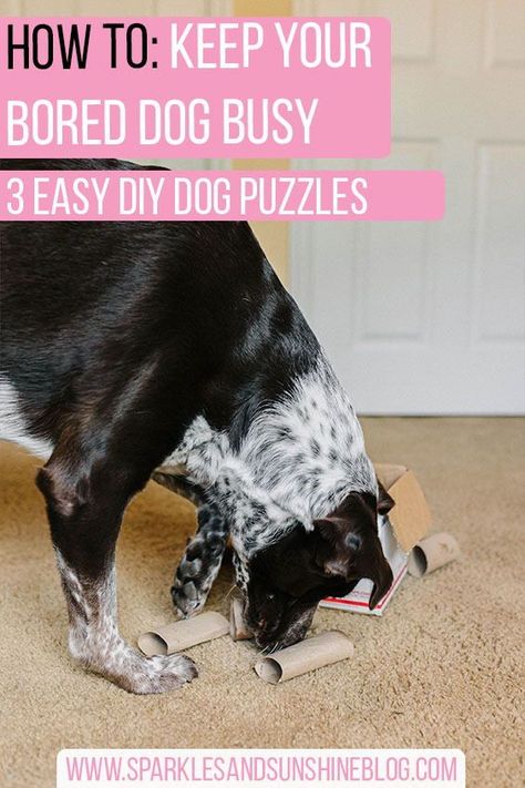 Diy Puzzle Toys For Dogs, Diy Enrichment Toys For Dogs, Diy Dog Puzzles, Dog Busy Toys, Diy Dog Enrichment, Dog Enrichment Ideas, Canine Enrichment, Homemade Dog Toys, Brain Games For Dogs