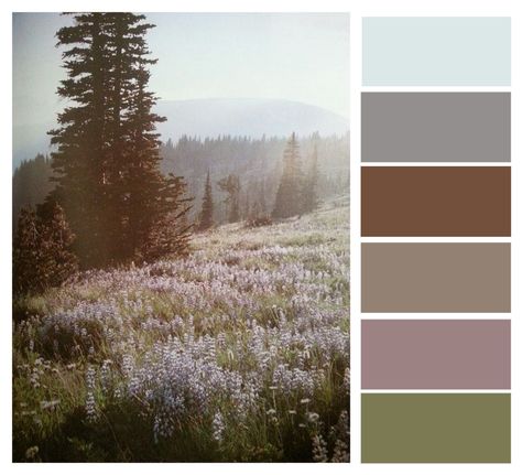 discover color pastel hills forest nature color palette Nature Themed Color Palette, Colour Palette Nature, Color Palette Forest, Earth Colour Palette, Enchanted Forest Coloring, Japanese Forest, Spring Forest, Forest Color, Color Schemes Colour Palettes