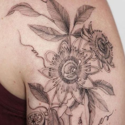 KAYA GARDEN TATTOO STUDIO on Instagram: "@kayatatt Passion fruit vines on Isabella🌱 Thank you as always! @kayagardentattoo . . . . . #tattoosydney #finelinetattoo #passionfruitdrawing #planttattoo #botanicaltattoo #vinestattoo #leavetattoo #delicatetattoo #kayagardentattoo #타투 #시드니타투 #호주타투 #ttthistory #botanicalart" Xmen Tattoo, Tattoo Sydney, Fruit Tattoo, Passion Vine, Garden Tattoos, Garden Tattoo, More Tattoo, Design Edit, Vine Tattoos