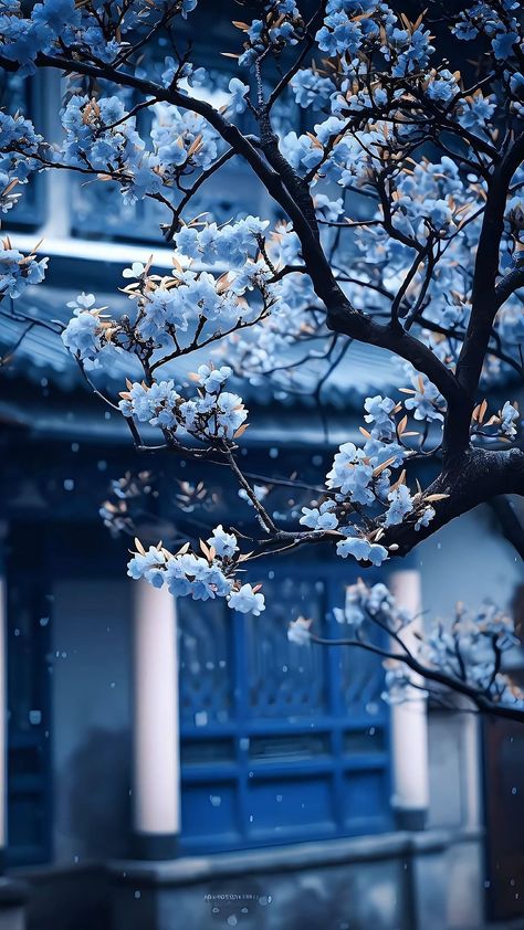 Pretty Dark Wallpapers For Iphone, Japan Blue Aesthetic, Blue Cherry Blossoms, Pretty Flowers Pictures, Photo Bleu, Aesthetics Wallpaper, Blue Flower Wallpaper, Dreamy Artwork, Snow Tree