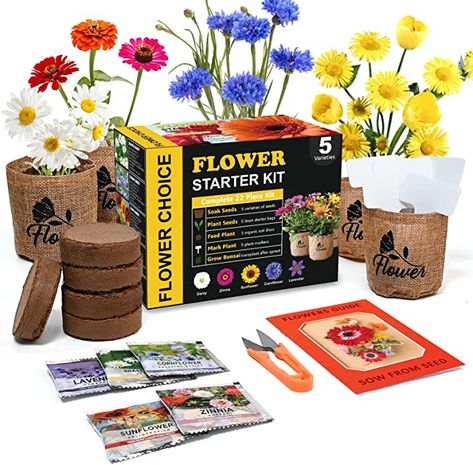 Indoor Daisy Garden Starter Kit, 5 Non-GMO Flower Seeds Planting Set with Gardening Tool Set - Jute Bags, Markers, Soil Disks and Shears, Home Gardening Gifts for Women Men Flower Plant Lovers Seeds Planting, Seed Starter Kit, Daisy Garden, Bonsai Seeds, Gardening Gifts, Seed Starter, Flower Guide, Seed Germination, Home Gardening