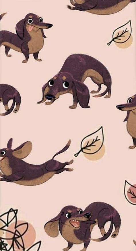 Dachshund Wallpaper Iphone, Daschund Wallpaper, Dachshund Wallpaper, Arte Dachshund, Dachshund Illustration, Dachshund Pattern, Illustration Wallpaper, Dachshund Art, Canine Art