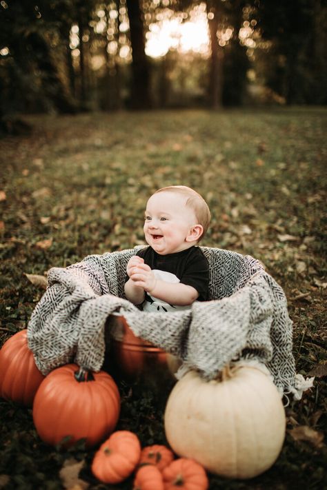 Halloween Baby Pictures, Fall Baby Photos, Baby Holiday Photos, Fall Baby Pictures, 6 Month Baby Picture Ideas, Month Pictures, Born Photography, September Baby, Columbus Indiana