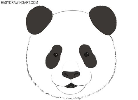 how to draw a panda face Panda Drawing Easy Step By Step, Panda Face Drawing, Cute Panda Drawing Easy Step By Step, Panda Easy Painting, Cute Panda Sketch Easy, Panda Head Drawing, Panda Drawing Easy, Very Simple Drawing, Draw A Panda