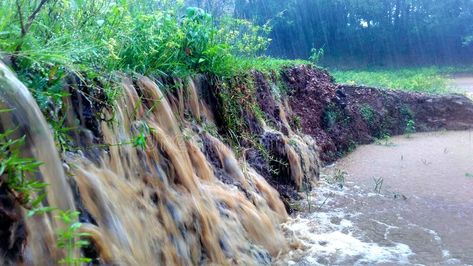 Flowing water causing soil erosion during heavy rain and flood. Mud and flowing , #AFF, #erosion, #heavy, #rain, #soil, #Flowing #ad Grassland Habitat, Soil Erosion, Farm Gate, Crop Production, Water Pictures, Science Activity, Erosion Control, Flowing Water, Soil Layers