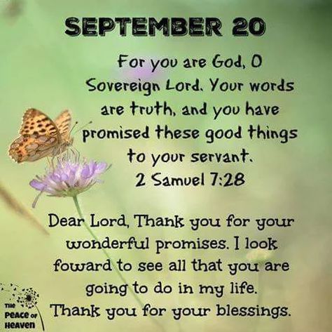 #14709 September 20~2 Samuel 7:28 September Quotes, Psalms Quotes, Inspirational Good Morning Messages, Heaven Quotes, 2 Samuel, Christian Quotes Prayer, Inspirational Verses, Good Morning God Quotes, Biblical Inspiration