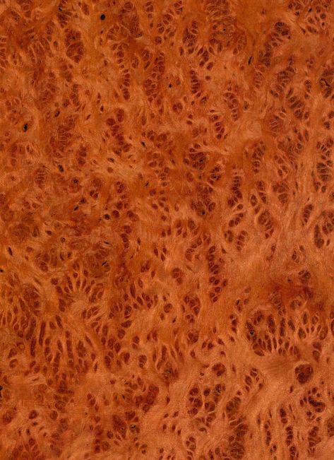 5/19: Redwood Burl is rich, warm and full of character. Burl veneer is produced from large, wart-like growths on the trunk of the tree. Burls grow below the soil line on Redwood, usually within 10 feet from the soil surface. Most notably used in automotive dashboards, Redwood Burl is also a perfect choice for aircraft and yacht building, as well as high end furniture. #woodveneer #veneer #architect #architectdesign #aircraft #aircraftdesign #yacht #yachtdesign #furniture #furnituredesign Rendering Textures, Tree Burl, Amboyna Burl, Wood Burl, Redwood Burl, Cnc Ideas, High End Furniture, Walnut Burl, Wood Lathe