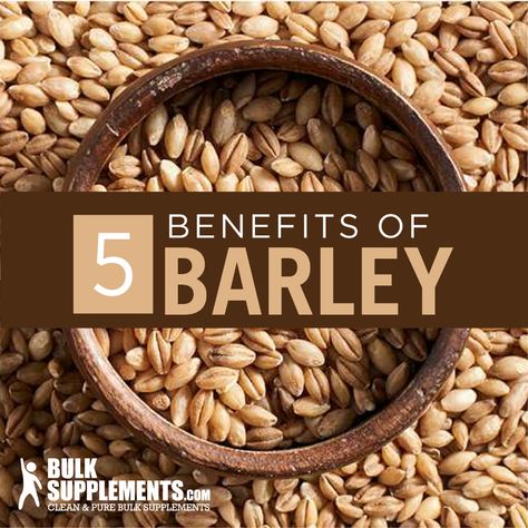 Barley Nutrition Facts, Barley Benefits, Barley Grain, Barley Grass, Barley Flour, Blood Sugar Control, Cardiovascular Health, Food Healthy, Egg Recipes