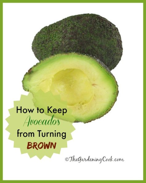 Avocado Storage, Avocado Pit, Avocado Dessert, How To Cut Avocado, Avocado Health Benefits, Breakfast And Brunch, Food Info, Avocado Recipes, Healthy Nutrition