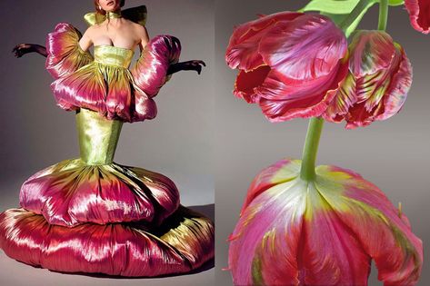 Flower Inspired Dress, Tulips Collage, Sohee Park, Schiaparelli Couture, Pink Parrot, Runway Fashion Couture, Parrot Tulips, In Full Bloom, Fantasy Fashion