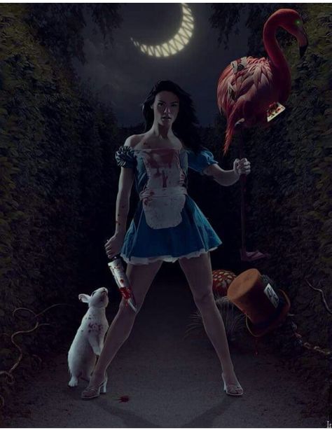 Alice in Wonderland Alice In Wonderland Horror, Evil Alice, Tweedle Dee, Alice Madness Returns, Fairy Images, Alice Madness, Dark Images, Scary Art, Cartoon Pics