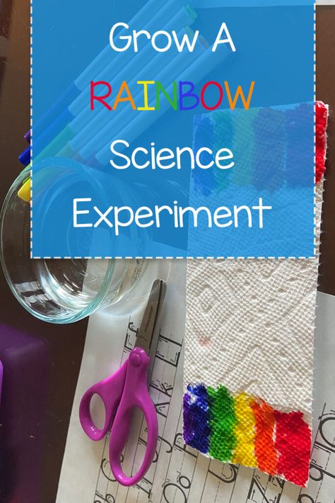 Science Activities For 1st Grade, 1st Grade Science Experiments, First Grade Science Projects, Grow A Rainbow, Kindergarten Weather, Weather Experiments, Rainbow Lessons, Elementary Science Experiments, 1st Grade Crafts