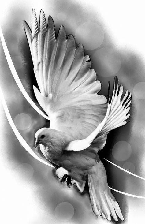 Dove Drawing Tattoo, Doves Tattoo Design, Paloma Tattoo, Doves Tattoo, Tattoo Dove, Dove Photo, Religous Tattoo, Arm Cover Up Tattoos, Dove Drawing