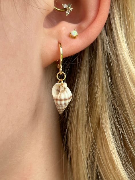 Gold Shell Earrings Funky Trinkets, Jewellery Wishlist, Xoxo Jewelry, Earring Stack, Surf Jewelry, Beachy Jewelry, Seashell Earrings, Seashell Jewelry, Ocean Jewelry