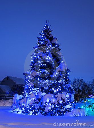 Night shot of pine tree adorned with blue Christmas lights at dusk, heavily laden with snow. Unusual Christmas Decorations, Blue Christmas Lights, Christmas Pic, Christmas Tree Pictures, Christmas Scenery, Blue Christmas Tree, Night Shot, Beautiful Christmas Trees, Outdoor Christmas Lights