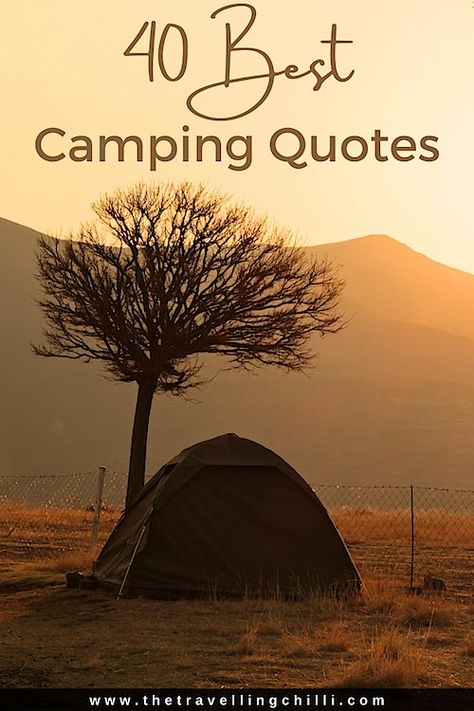 Best camping quotes to inspire you next camp adventure | campfire quotes and quotes for camping | #campingquotes #campfirequotes #quotesforcamping Camping Phrases Sayings Quotes, Camping Sayings Signs, Camping Memories Quotes, Camping Friends Quotes, Camping Season Quotes, Camping With Family Quotes, Camping Letterboard Quotes, Funny Outdoor Quotes, Family Camping Quotes