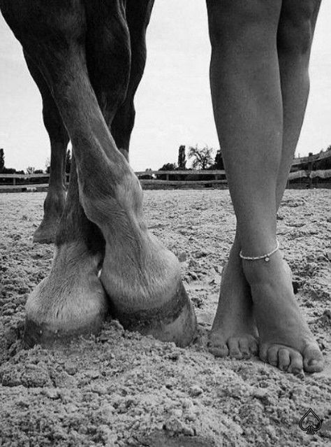 Boring House, Greta Falcone, Horse Photography Poses, Costal Cowgirl, Horses Photography, Equestrian Aesthetic, Beach Session, Horse Aesthetic, Equestrian Lifestyle