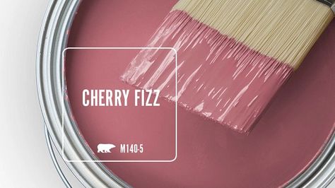 CHERRY FIZZ M140-5 | Behr Paint Colors Twinberry Behr Paint, Iced Cherry Behr Paint, Behr Fanciful, Behr Pink Prism, Behr Raspberry Mousse, Red Paint Colors, Behr Colors, Behr Paint Colors, Behr Paint