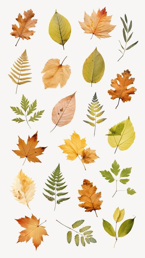 Leaves Pictures, Leaves Collage, Murmuration Art, Watercolour Leaves, Leaves Decor, Leaf Collage, Leaves Png, Fall Images, Nature Pattern