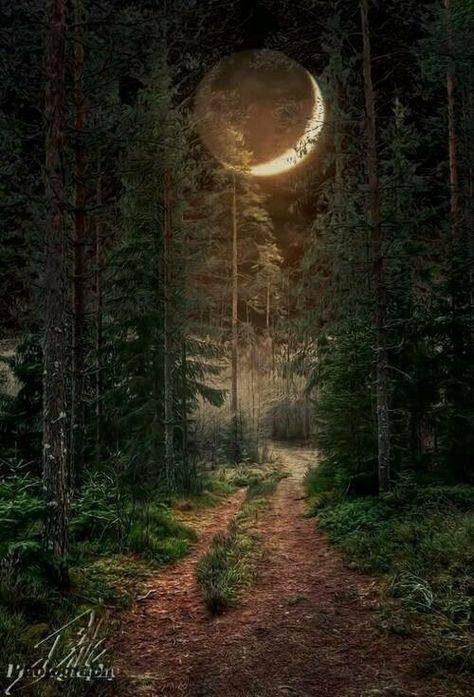 The Path You've Chosen - March, 2016 Era Victoria, Forest Moon, Mystical Forest, Moon Pictures, Forest Path, Moon Photography, Beautiful Moon, 판타지 아트, Alam Yang Indah