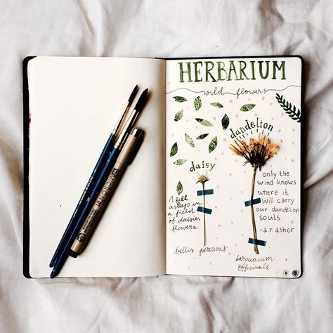 A DIY herbarium by Claire! Find her on Instagram as claire_water76 Diy Herbarium, Creation Art, Garden Journal, Pressed Flower Art, Nature Collection, Nature Study, Botanical Drawings, Nature Journal, Nature Crafts