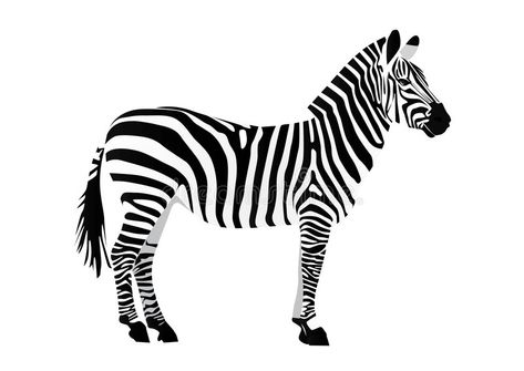 Zebra. Isolated zebra side-view full-height silhoette , #affiliate, #zebra, #side, #Zebra, #Isolated, #height #ad Zebra Tattoos, Zebra Drawing, Zebra Pictures, Zebra Illustration, Zoo Animals Photography, Zebra Art, Floral Logo Design, Animal Illustration Art, Fused Glass Artwork