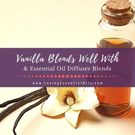 Discover what vanilla essential oil blends well with and get diffuser recipes for a delightful aroma. Enhance your home with our vanilla oil blends today. Diffuser Blends Vanilla, Essential Oil Blends With Vanilla, Vanilla Essential Oil Blends, Vanilla Diffuser Blends, Vanilla Clove Essential Oil Blend, Libra Essential Oil Blend, Benzoin Essential Oil, Vanilla Planifolia, Essential Oil Perfumes Recipes