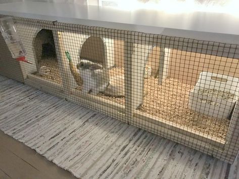 I got myself a bunny and was looking for a rabbit house. I didn't find anything interesting so I had the idea of making one myself using the Ikea Kallax. Pet Necessities, Diy Bunny Cage, Indoor Rabbit House, Ikea Cat, Diy Rabbit Cage, Indoor Rabbit Cage, Rabbit Enclosure, Bunny Cage, Bunny Hutch