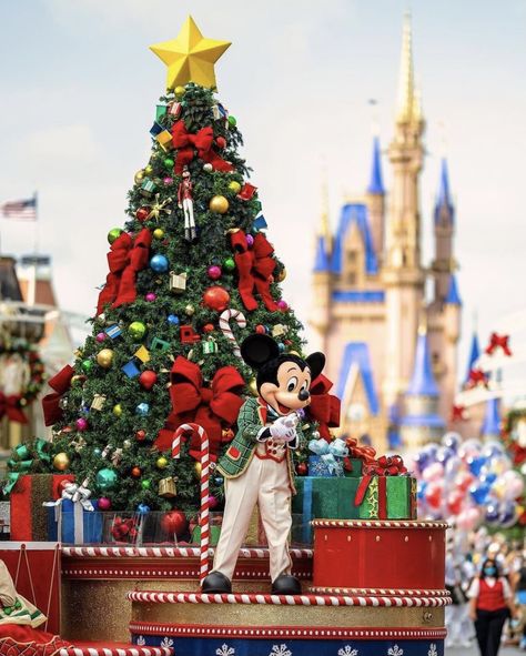 Orlando Christmas, Disneyland Christmas, Disney World Christmas, Disney Christmas Ornaments, Disney Characters Wallpaper, Silver Christmas Decorations, Disney Paris, Disney World Outfits, Disney Orlando