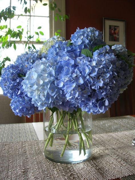 Chili With Ground Beef, The Cherry Orchard, Blue Floral Decor, Vegetarian Meat, Hydrangea Vase, Tattoo Plant, Meat Eater, Red Kidney Beans, Blue Hydrangea Flowers