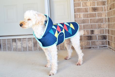 Dog Quilt Coat! Quilt Coat Pattern, Quilted Coat Pattern, Quilted Jacket Pattern, Puffy Quilt, Pre Quilted Fabric, Dog Coat Pattern, Quilt Coat, Patchwork Coat, Quilted Clothes