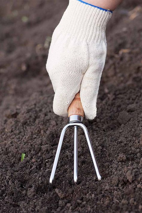 Garden Weeding Tools, Hand Cultivator, Japanese Socks, Digging Tools, Korean Socks, Bonsai Tools, Weeding Tools, Ankle Socks Women, Garden Maintenance