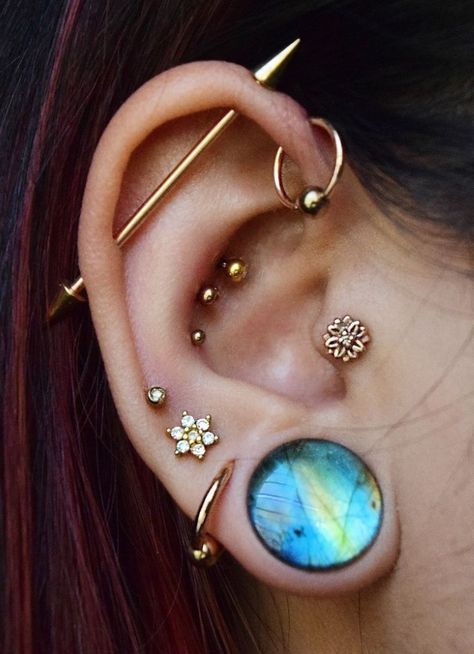 Ear With Piercings, Piercing Facial, Conch Piercings, Smiley Piercing, Septum Piercings, Cool Ear Piercings, Pretty Ear Piercings, Cool Piercings, Cute Ear Piercings