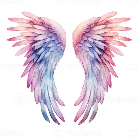 Lung Wallpaper, Watercolor Angel Wings, Angel Wings Clip Art, Wings Illustration, Tshirt Images, Angel Wings Painting, Start Sketching, Watercolor Angel, Angel Wings Art