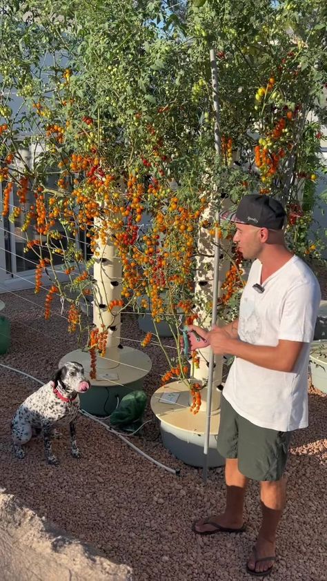 Hydro Gardening, Hydroponic Gardening System, Backyard Garden Diy, Hydroponic Farming, Vertical Vegetable Garden, Aquaponic Gardening, Vegetable Garden Planning, Vertical Herb Garden, Vertical Farming