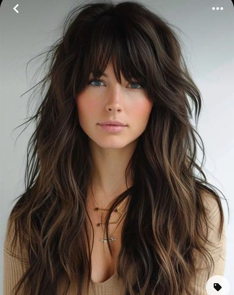 Meg Ryan Long Hair, Long Wavy Shag Haircut, 70s Shag Haircut Long, 2025 Haircut, Camila Cabello Hair, Long Shaggy Haircuts, Curly To Straight Hair, Straight Hair With Bangs, Eye Styles