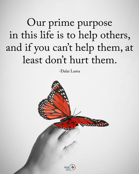 Type YES if you agree. Our prime purpose in this life is to help others, and if you can't help them, at least don't hurt them. - Dalai… Dali Lama Quotes, Dali Lama, Lama Quotes, Dalai Lama Quotes, Positive Energy Quotes, Energy Quotes, Wellness Wednesday, Help Others, Happy Thoughts