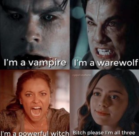 Funny Vampire Diaries, Funny Vampire, Vampire Diaries Memes, Fandom Quotes, Vampire Shows, The Vampire Diaries Characters, Vampire Series, Vampire Diaries Poster, Damon Salvatore Vampire Diaries