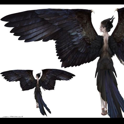 Dark Fey, Maleficent Wings, Maleficent Art, Wings Artwork, Winged People, Bird People, Arte Do Kawaii, Wings Drawing, Wings Art