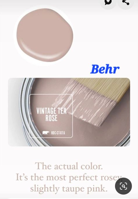 Behr Ballet Rose, Dusty Pink Behr Paint, Rosy Beige Paint Color, Muddy Blush Paint Color, Vintage Tea Rose Paint Behr Living Room, Dust Bunny Paint Color, Muted Rose Paint, Behr Dusty Rose Paint Colors, Soft Pink Wall Color