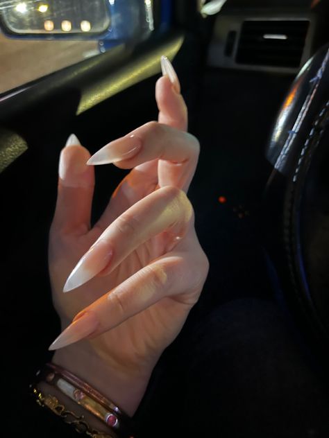 nude color demon stiletto sharp nails cat woman claws Cat Woman Nails, Clothing Essentials For Women, Cat Claw Nails, Travel Photography Aesthetic, Fall Clothing Essentials, Sharp Nails, Pinterest Art, Gothic Nails, Claw Nails