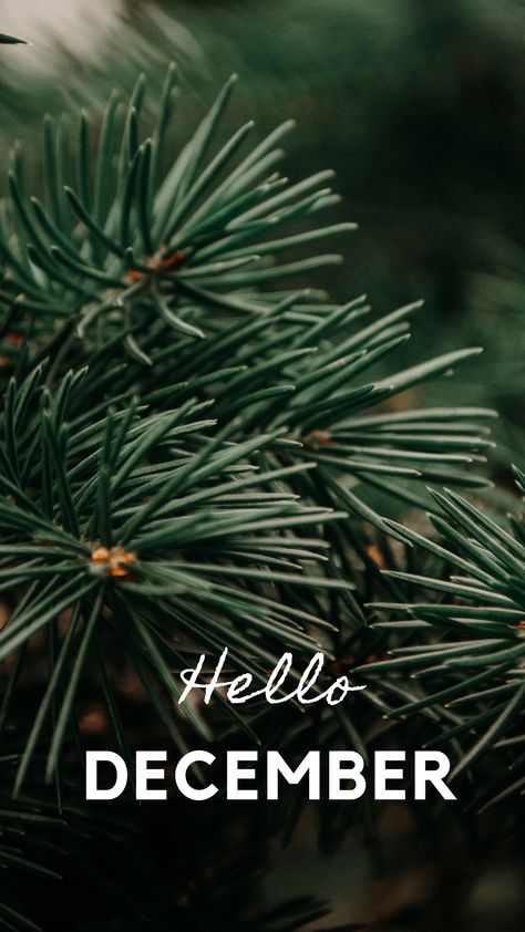 Hello December Wallpaper, December Wallpaper, Month Of December, Christmas Wallpapers, Hello December, Wallpaper For Your Phone, Christmas Wallpaper, All Things Christmas, Want You