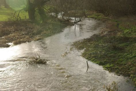 The River Blythe in Warwickshire, England, flows through the Midlands from central Warwickshire, through the borough of Solihull and on to Coleshill in north Warwickshire. It runs along the Meriden Gap in the Midlands Plateau, is fed by the River Cole and is a tributary of the River Tame. This then joins the River Trent, whose waters reach the North Sea via the Humber Estuary. West Midlands England, The Silt Verses, Doomed Love, Warwickshire England, I Want To Be Beautiful, Lord Of The Rings Online, H D Carlton, Invisible Life Of Addie Larue, Show Boat